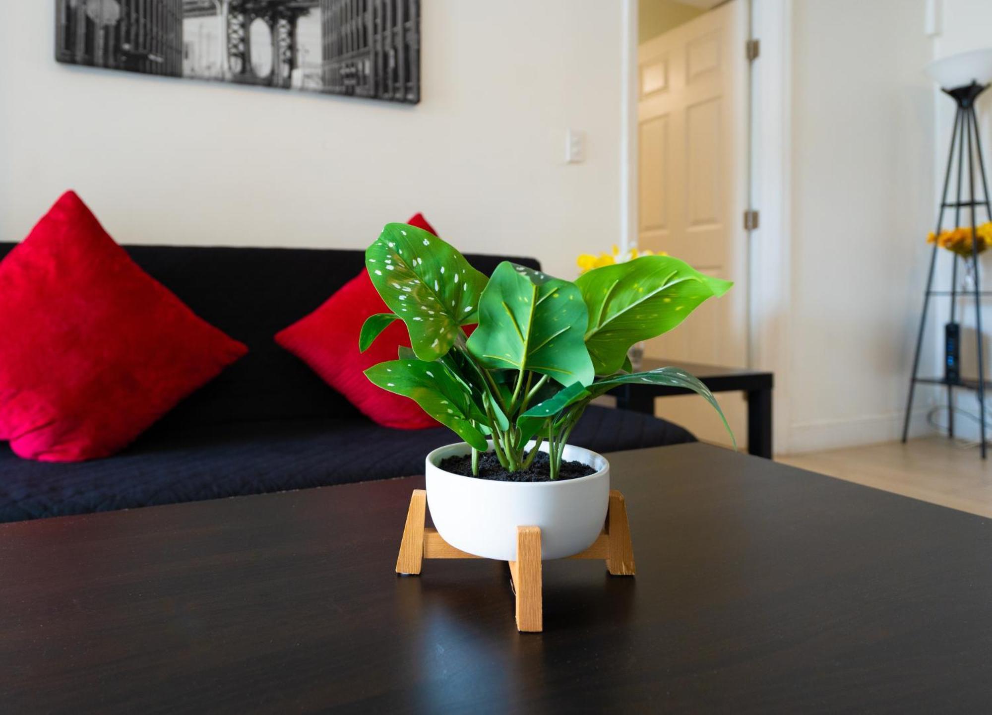 Cozy Private Apts In Hollywood By Hard Rock Casino! Экстерьер фото